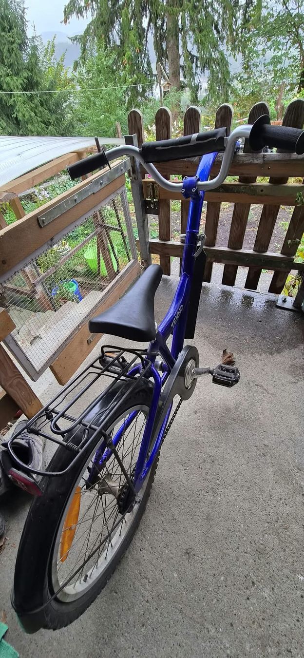 Veicoli per bambini: Schattenvelo – Usato da Lützelflüh-Goldb venduto da Newholland74 1