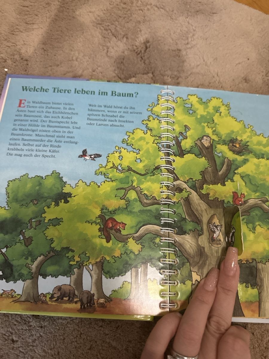 Bücher: Kinderbuch, Im Wald, Besserwisser Mini – Gebraucht aus Horgen von AA.AW55 2