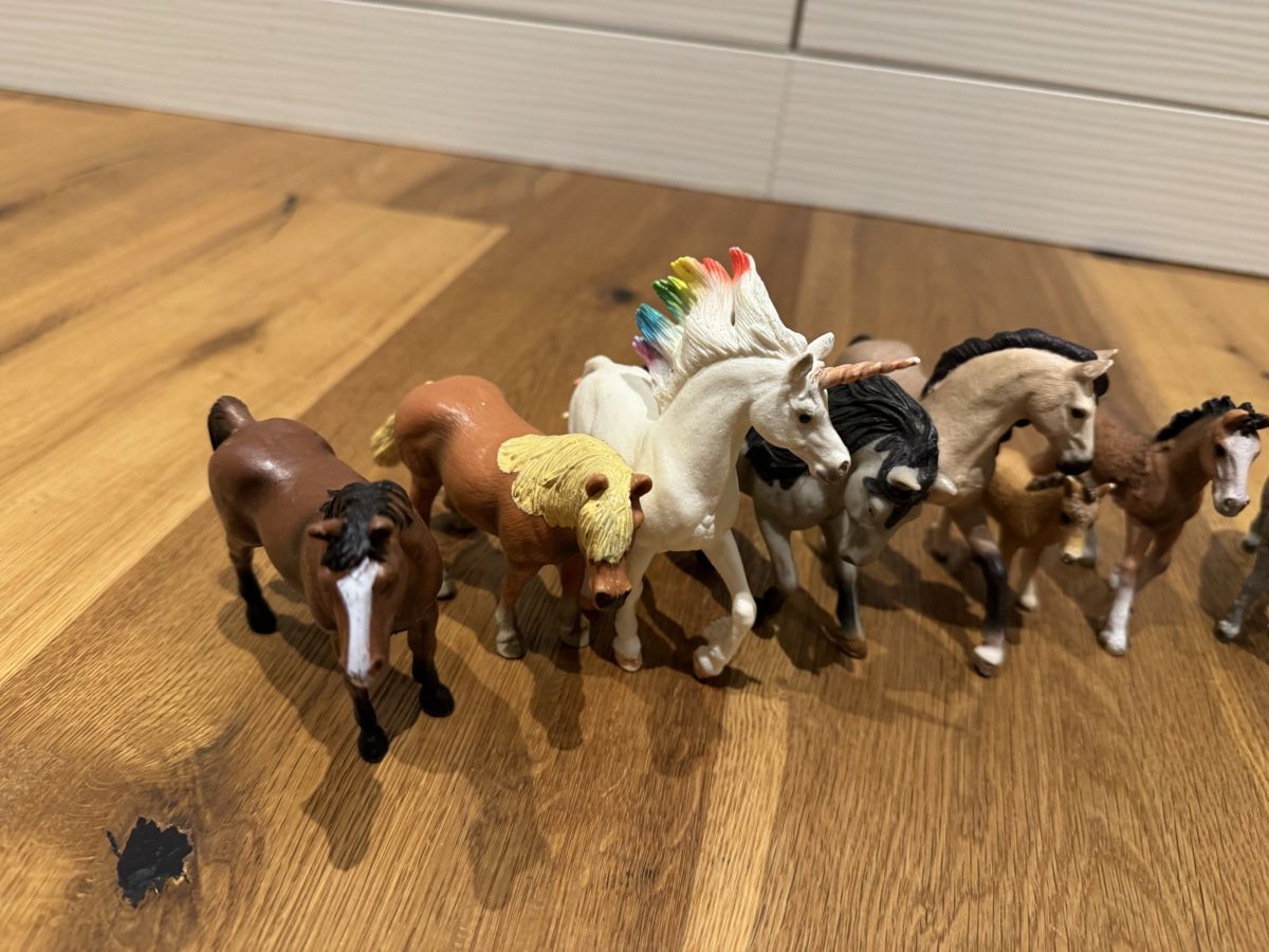 Schleich Statuette: Tierfiguren Bauernhoftiere Schleich – Usato da Oberkirch LU venduto da Kusi750 1