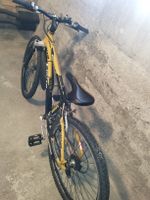 Occasion: gelbes Lotto Velo, muss revidiert werden!