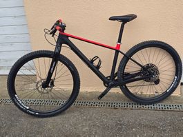 Gravel Bike Carbon