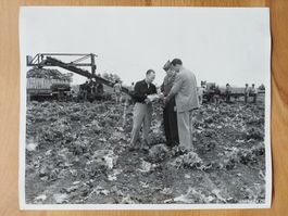 Original Pressefoto Interavia US Armee 1949 Food Purchasing