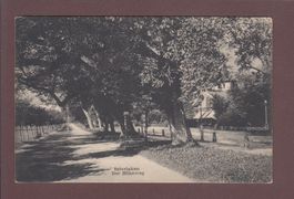 INTERLAKEN - Höheweg - 1907