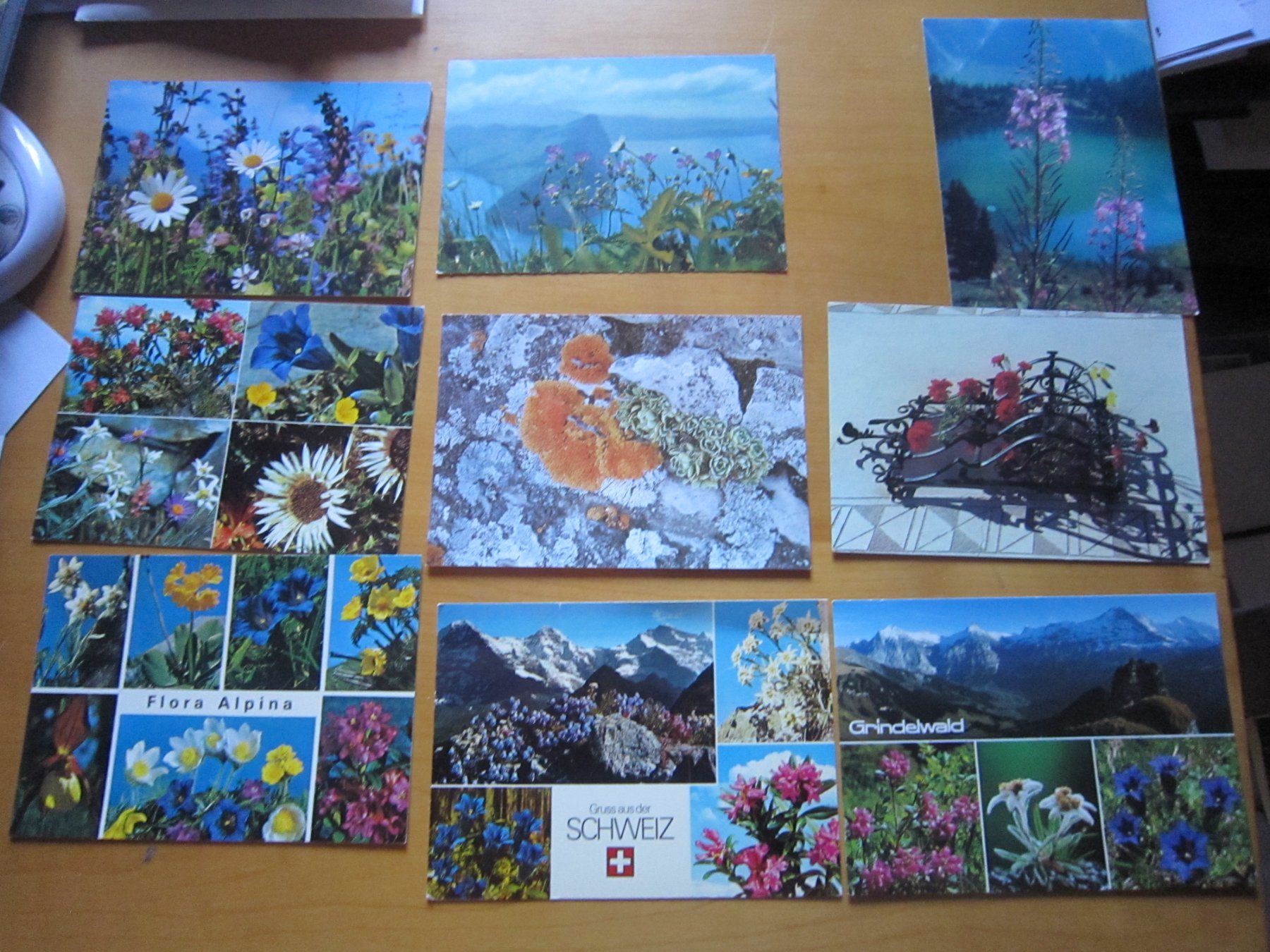 Ansichtskarten: No 2 Postkarten Bergblumen – Gebraucht aus Gordola von Polentaefung