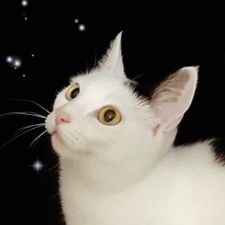 Profile image of hab_k8hx