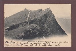 ROCHERS DE NAYE - Sommet - Vaches - 1905