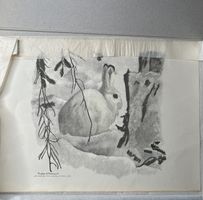 Lapin des neiges, Robert Hainard, signée et datée 1943