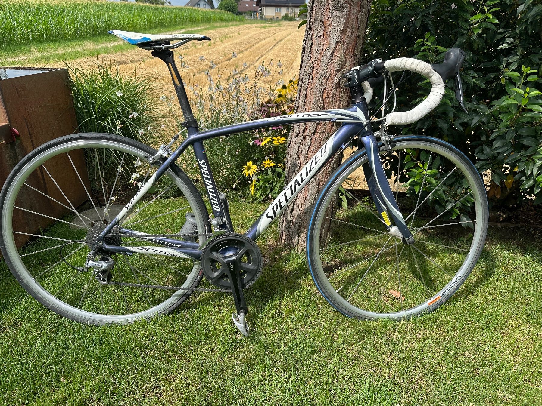 Specialized Rennvelo carbon (Gebraucht) in Diessbach b. Bren fr CHF 257   nur Abholung auf Ricardo kaufen