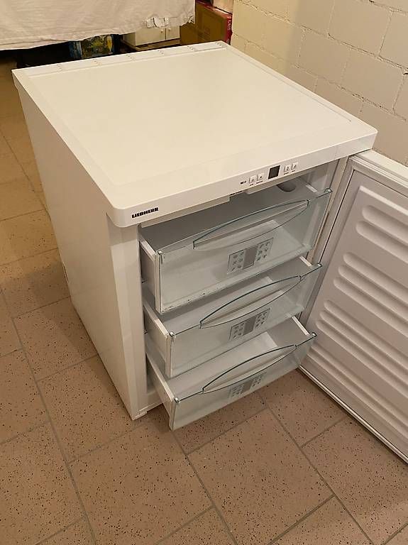 Liebherr Congelatori: Gefrierschrank Liebherr – Usato da Elgg venduto da vinyl03 1