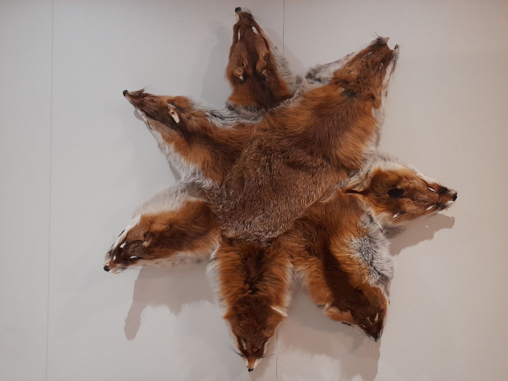 Tutte le decorazioni: Fuchs-Stern, Vintage, Deko, Chalet-Style, Jagd – Nuovo (secondo la descrizione) da Eschenbach SG venduto da Dugi1959 5