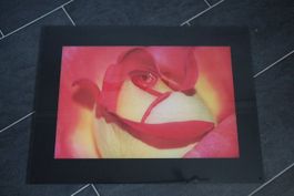 Acrylplatte 60 x 80 cm