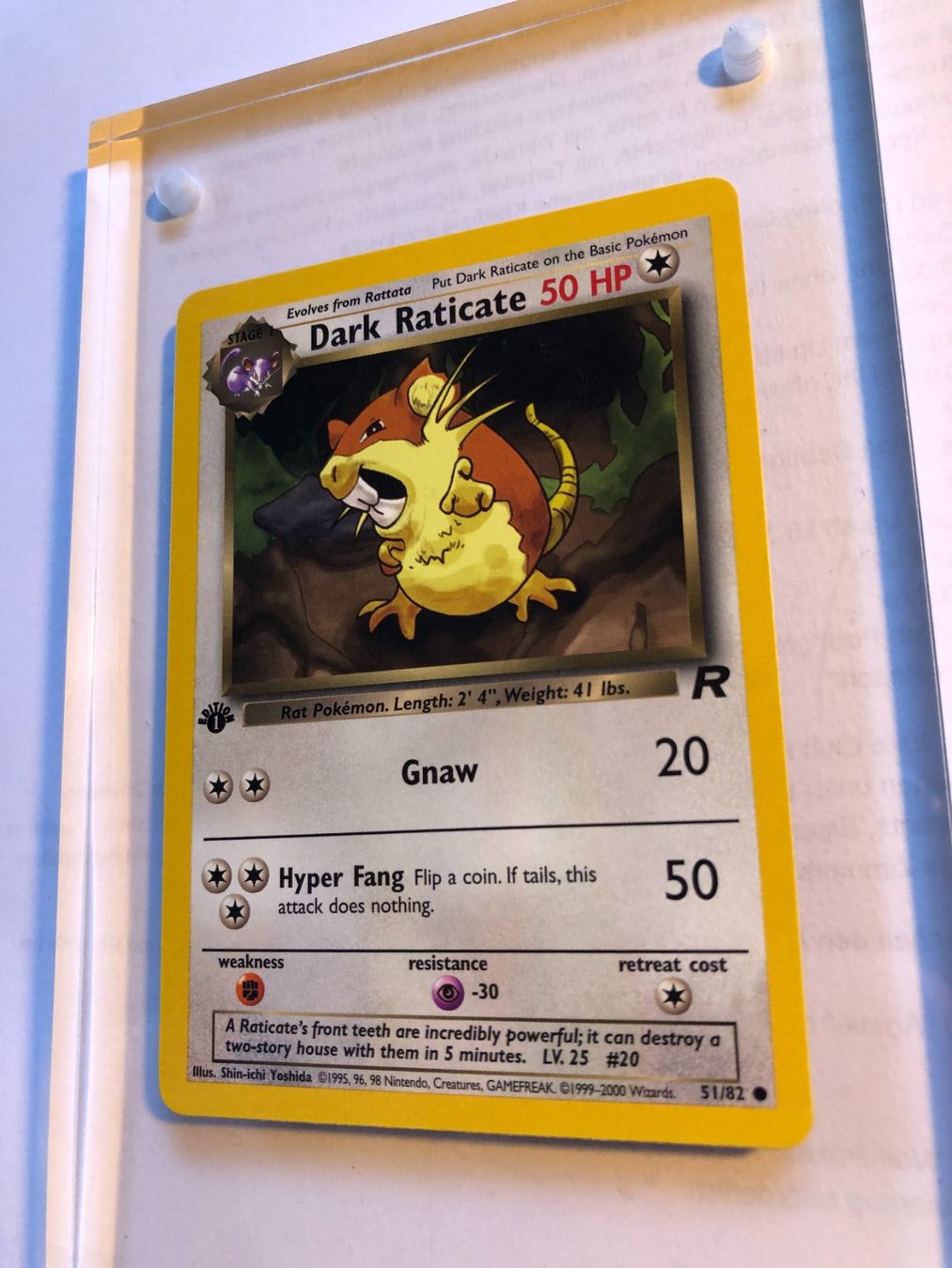 Sammelbilder & Trading cards: Dark Raticate 1st Team Rocket - MINT - ab 1.- – Gebraucht aus Giubiasco von dan_pr8b 2