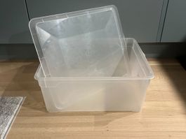 Aufbewahrungsbox transparent mit Deckel Rotho