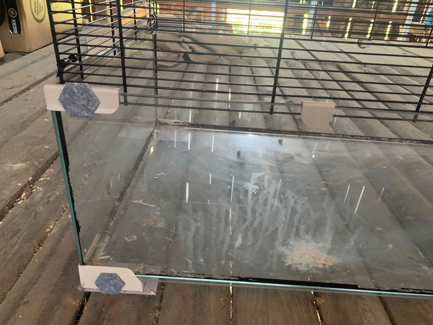 Gabbie, trasporto & Sicurezza: Glas Hamsterkäfig/Nagerheim – Usato da Seuzach venduto da steven_mueller01 5