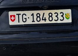 TG 184833 Auto Nummernschild
