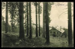 AK Les Rasses, Maison dans les bois