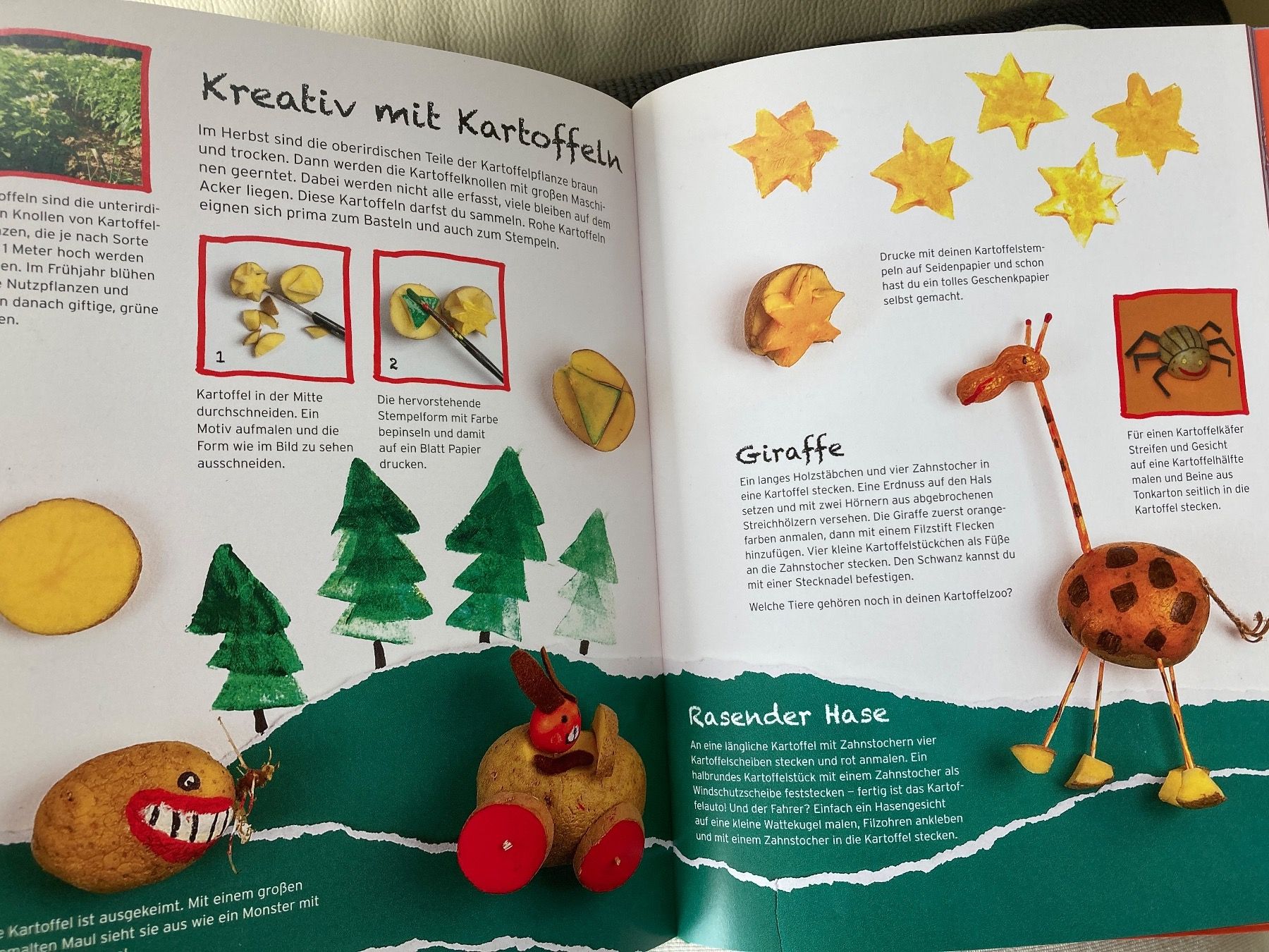 Libri: Das grosse Natur Bastelbuch – Usato da Baden venduto da Yoyo1 3
