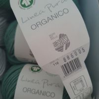 7Kn. Lana Grossa ORGANICO Fb. 116-886005 salbei