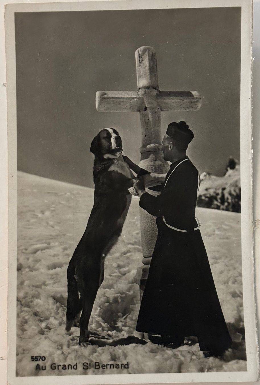 Cartoline postali: Grand Saint Bernard, Mönch, Bernhardiner Hund – Usato da Frauenfeld venduto da Merk52