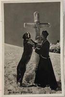 Grand Saint Bernard, Mönch, Bernhardiner Hund