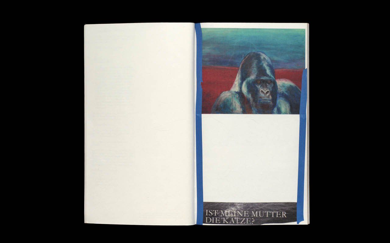 Libri: Kunstbuch mit Collagen von Dieter Hall, 2017 – Nuovo (secondo la descrizione) da zürich venduto da kulturgrab 3