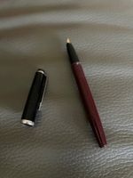 Penna stilografica nera e bordeaux