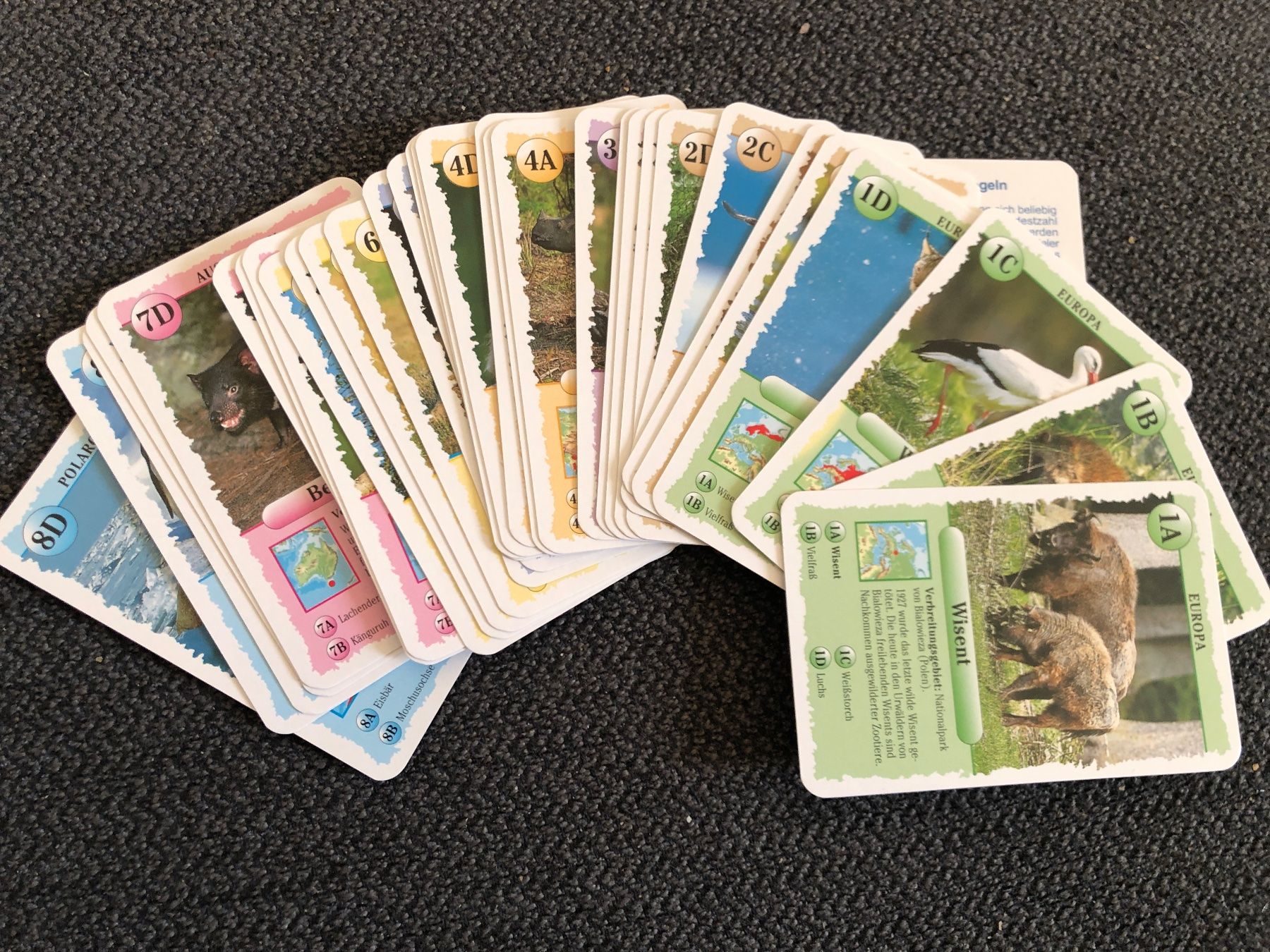 Ravensburger Giochi: QUARTETT SPIEL WILDLIFE TIERE – Usato da basel venduto da Lastcall 2