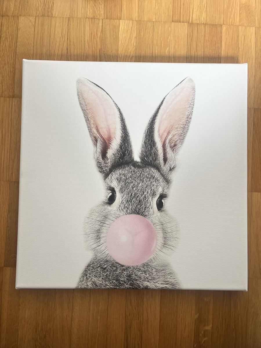 Foto & Immagini: Leinwand-Bilder Tiere, 30 x 30 cm – Usato da Dättwil AG venduto da Janine_12345 1