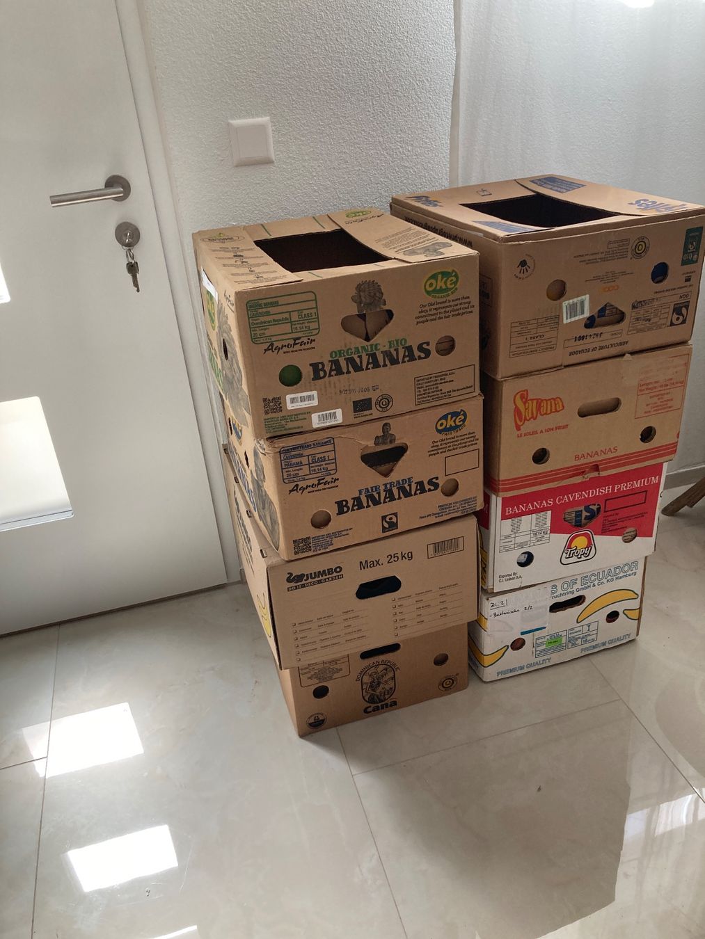 Cartoni: Bananenschachteln – Usato da Oberhasli venduto da IsmailRammal