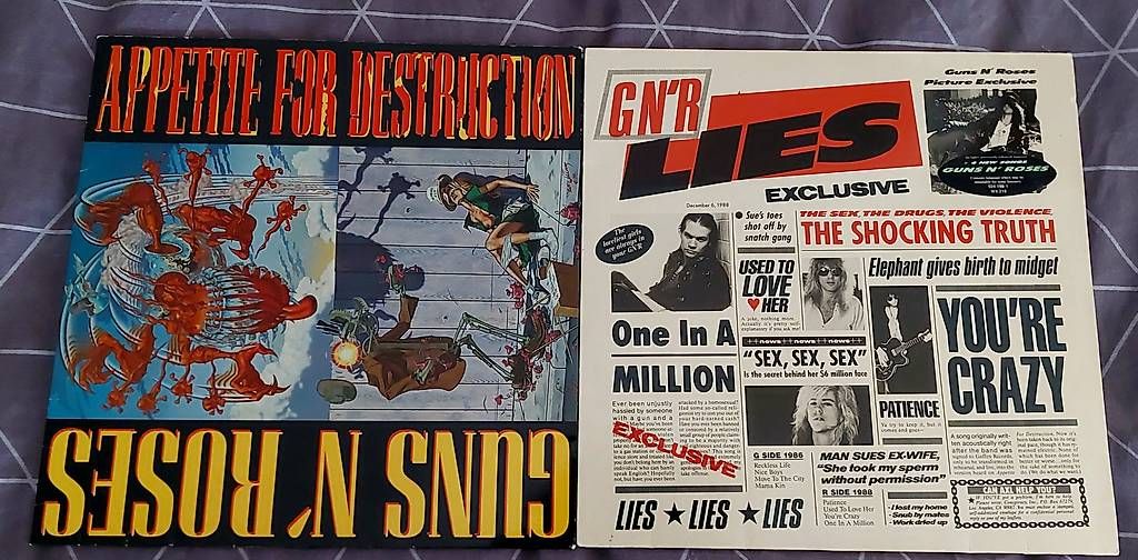 Dischi in vinile: Guns n Roses Vinyl Set – Usato da Gwatt (Thun) venduto da ARC_TERYX 2