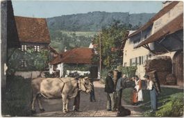 LANDWIRTSCHAFT/WEINLESE 1910 mit Kuh AG?