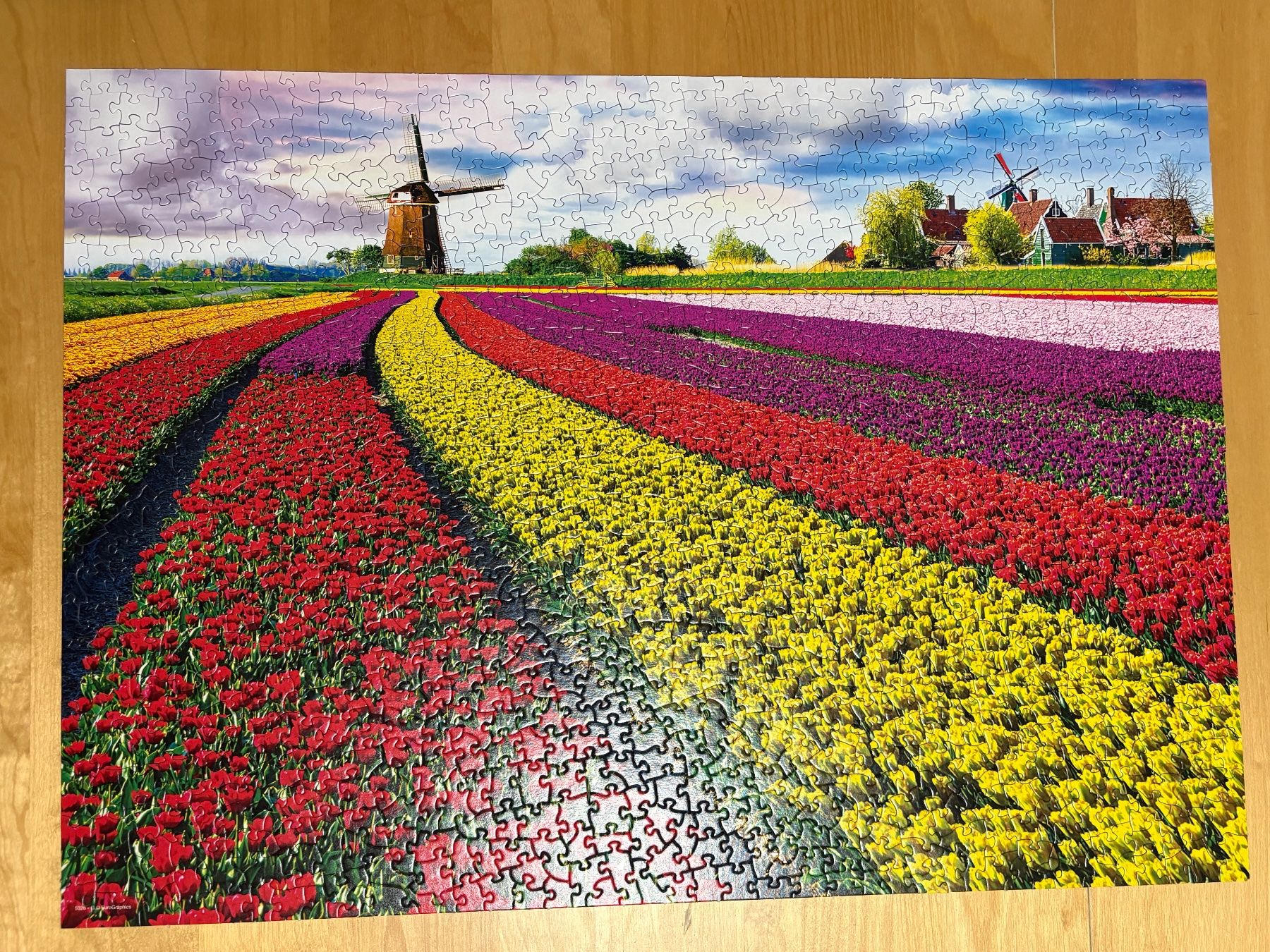 Puzzle: Puzzle "Tulpenfelder" 1000 Teile – Usato da Auenstein venduto da 5222 1