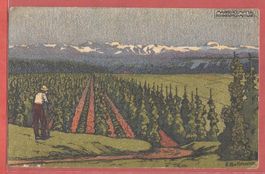 Kemptthal - Maggi Kempttal Bohnenfeld - Kunstkarte 1915