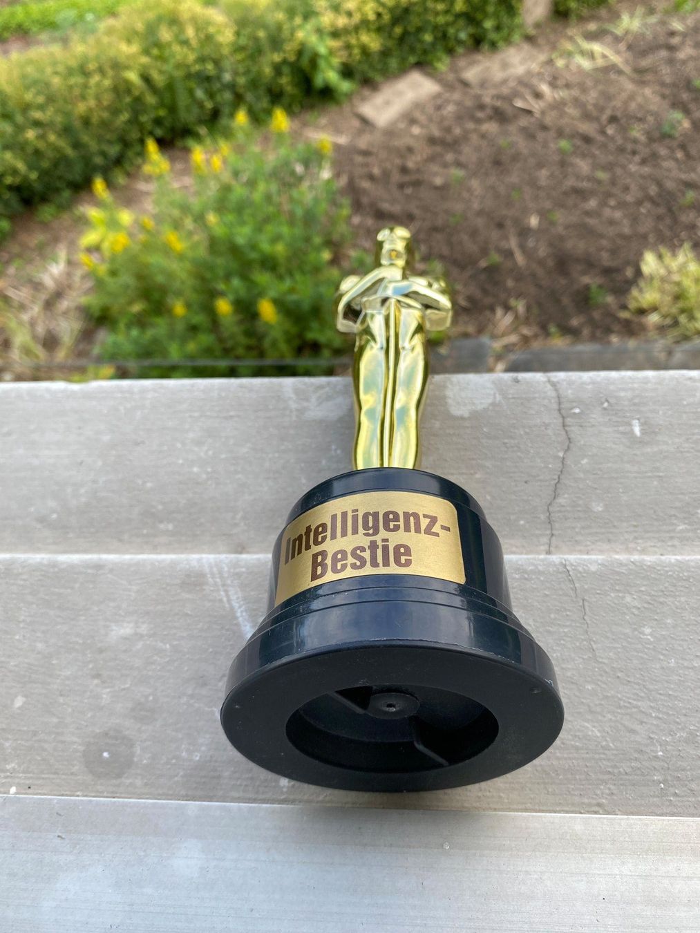 Sculture & Statue: Pokal Intelligenz-Bestie – Usato da Weinfelden venduto da Cheyenne21 1