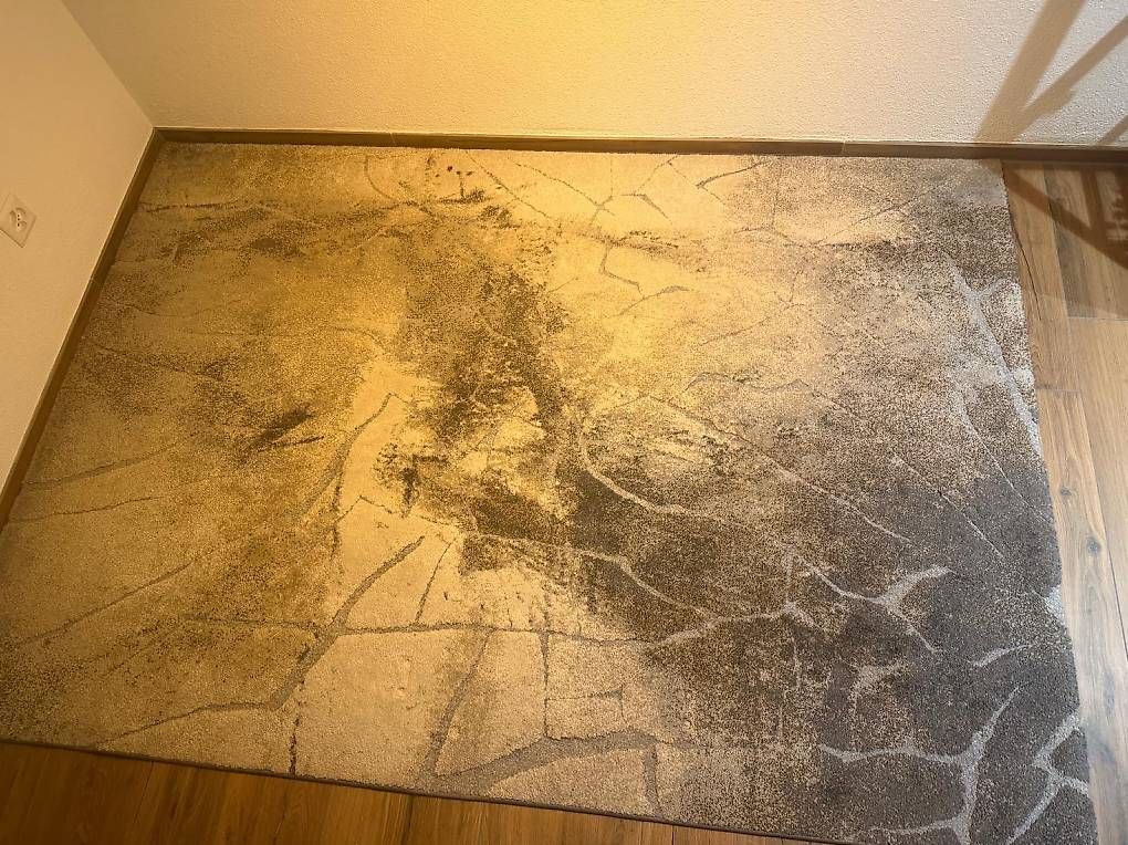 Teppiche: Teppich – Gebraucht aus Uzwil von sab_nhc7