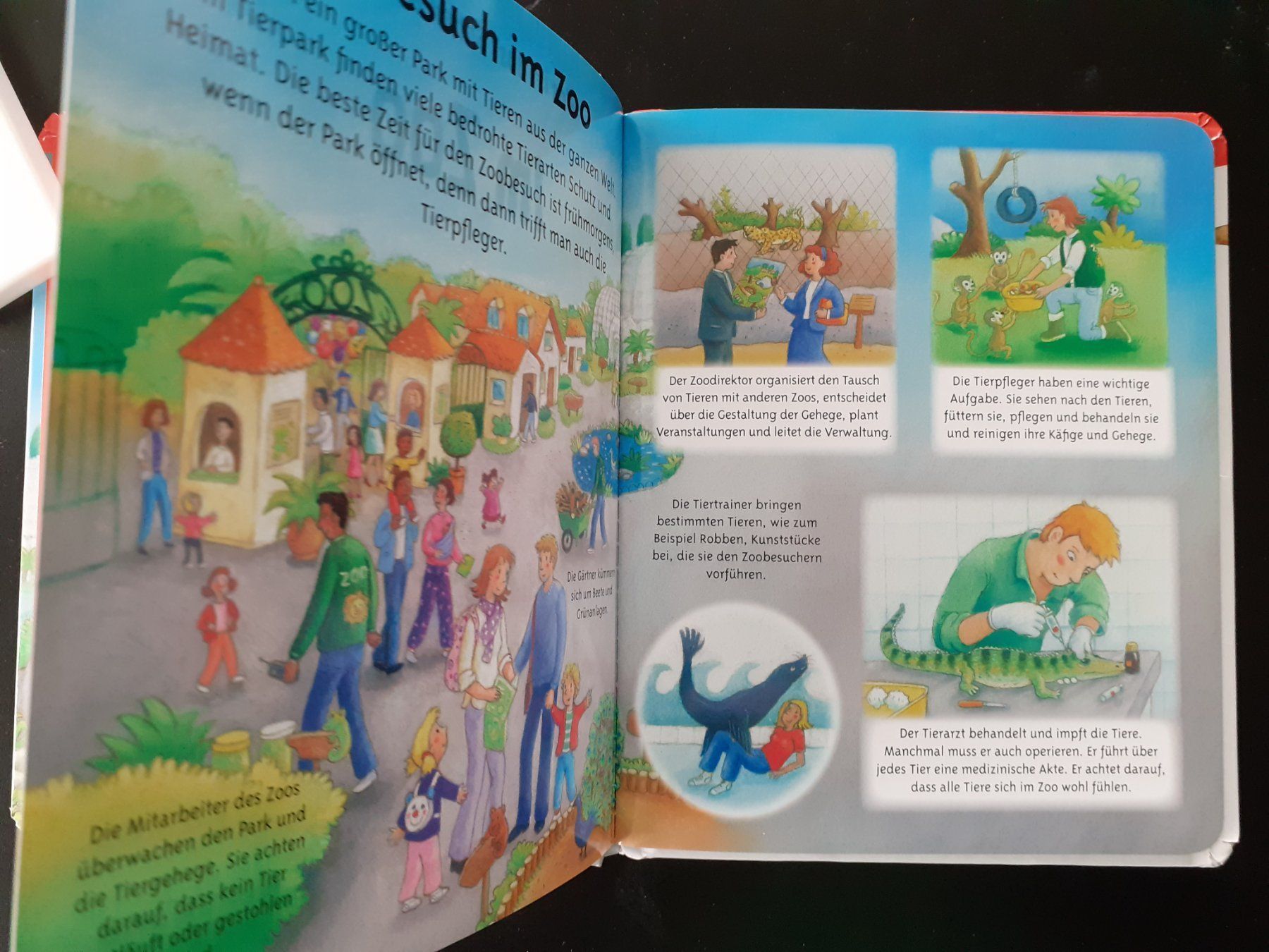 Libri: Kinderbuch Bilderbuch Im Zoo – Usato da Mörschwil venduto da lindaswunderkiste 4