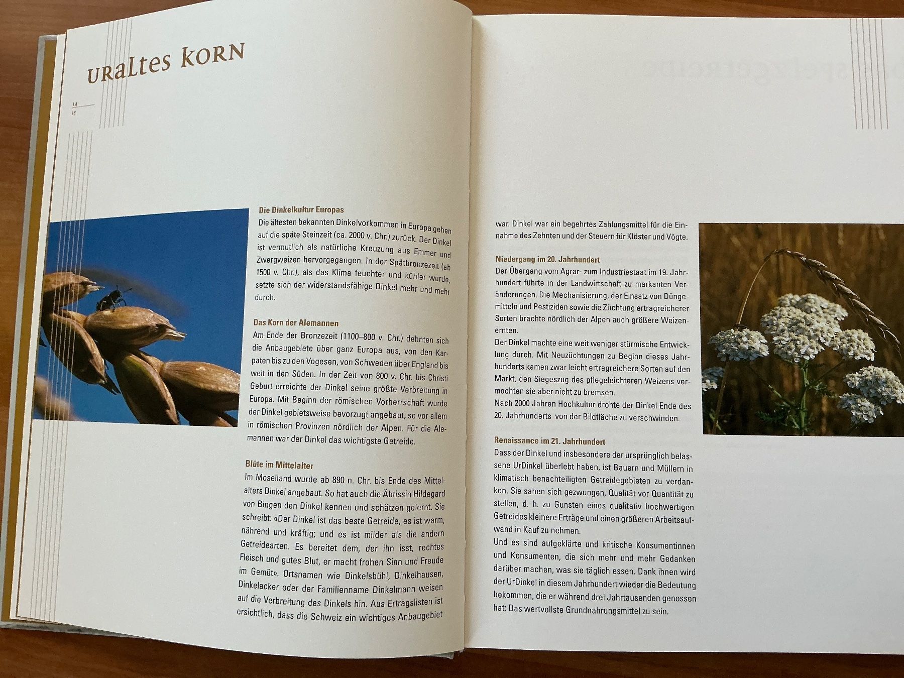 Libri: Dinkel Pasta – Usato da Kirchenthurnen venduto da Gluecksbrief 2