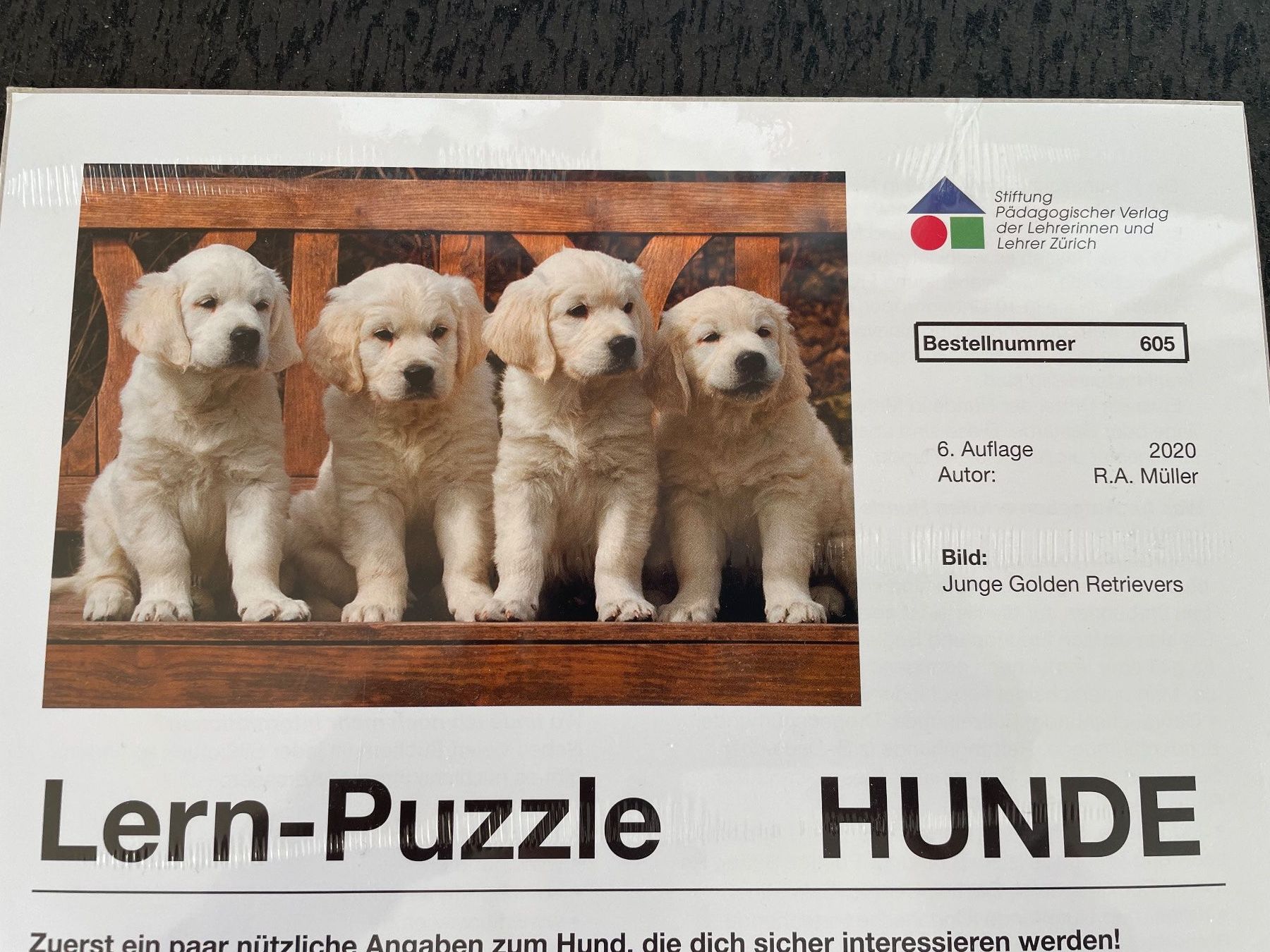 Puzzle: Puzzle Junge Golden Retrievers / Hunde Puzzle – Nuovo e nell'imballaggio originale da Füllinsdorf venduto da bienli 4