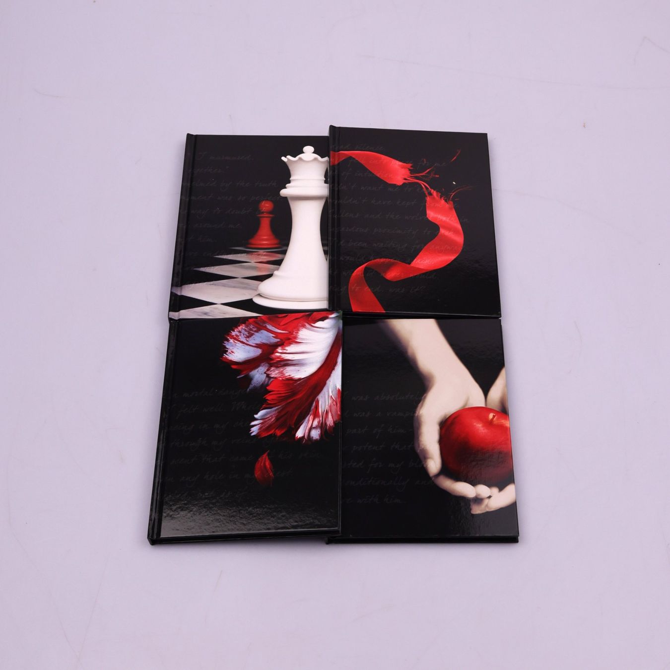 Libri: The Twilight Saga Journal Set – Usato da Volketswil venduto da brockipfannenstil 6