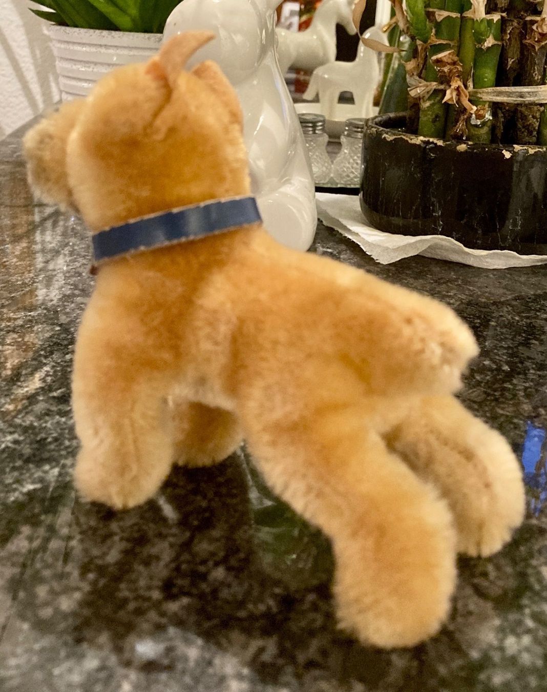 Steiff Giocattoli: Hund Dogge klein - antikes Steiff Tier – Usato da Rütihof venduto da Kelani 2