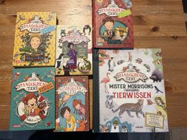 Schule der magischen Tiere Buchpaket 6 Bände Zustand gut