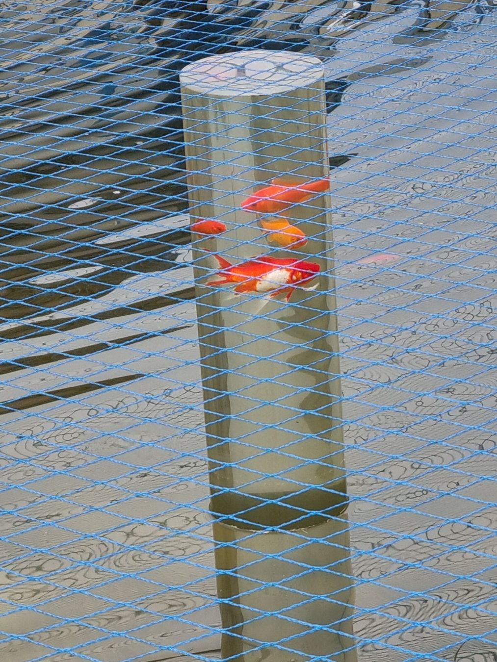 Casette per bambini: Fisch Turm – Usato da Leibstadt venduto da Moepsli14 3