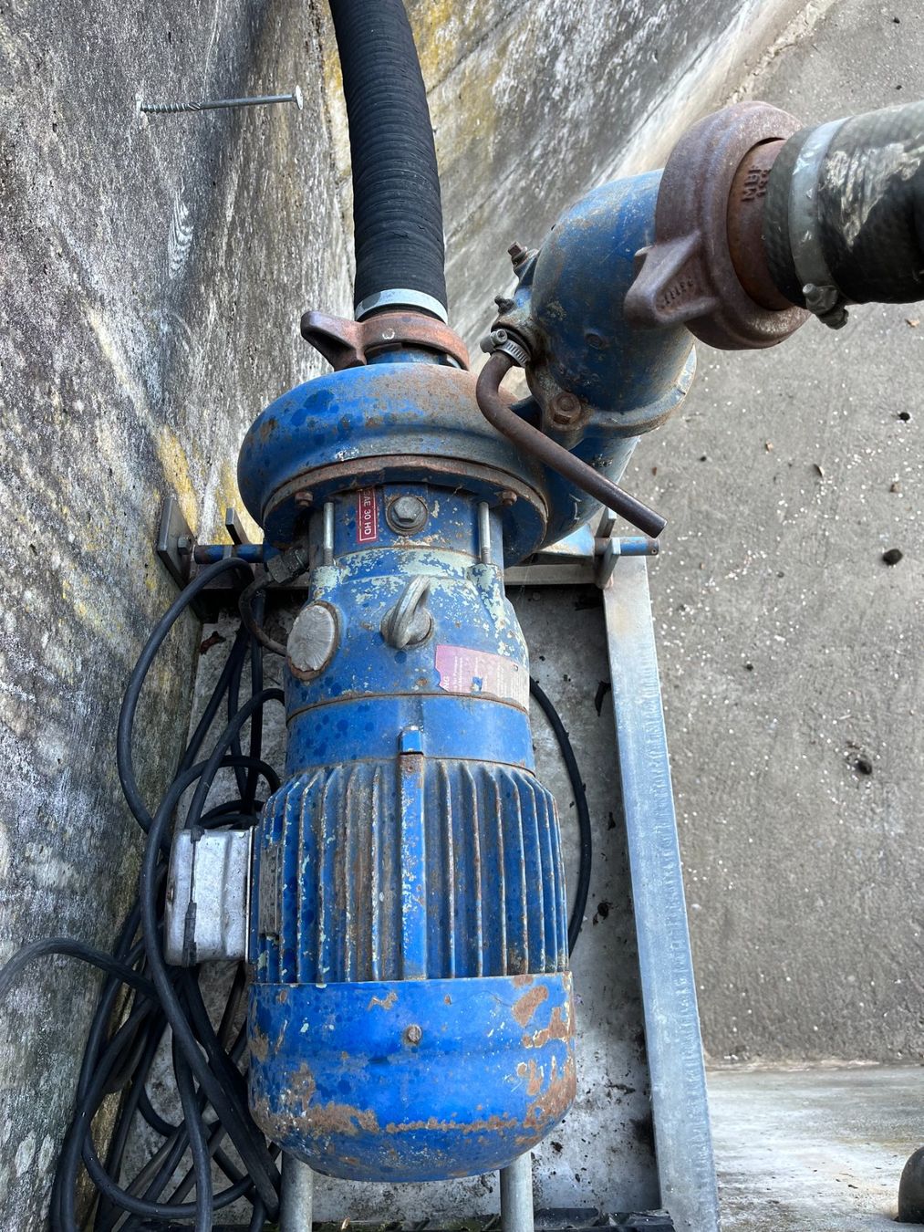 Pompe & Parti di ricambio: Elektro Wasser-/Jauchepumpe – Usato da Bergdietikon venduto da luusmaitli10