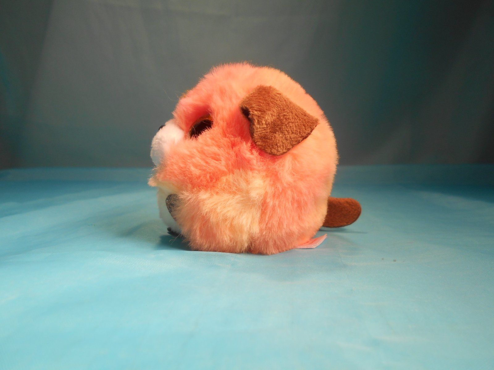 Ty Giocattoli: Kleiner Hund, Ty, Dm: 10cm – Nuovo (secondo la descrizione) da Bellach venduto da JingleCherry 3