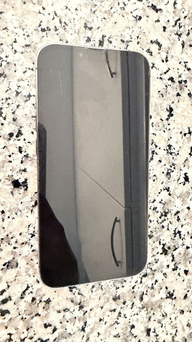 Apple Telefoni cellulari / Smartphones: iPhone 13 Pro Max 265 GB schwarz – Usato da Menzingen venduto da KocherinvestAG 1