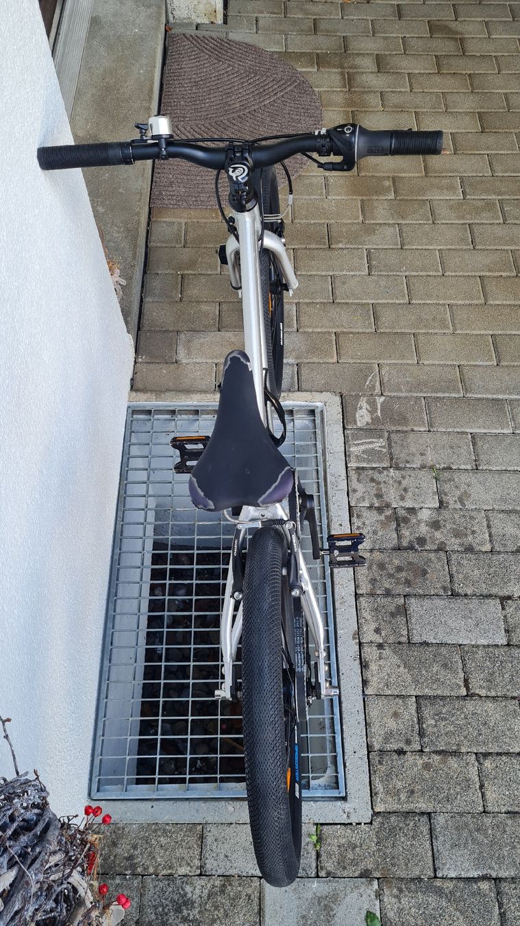 Early Rider Velos: Early Rider Belter 20 Zoll – Gebraucht aus Gebenstorf von Piso1 2