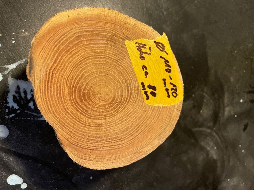 Birdseye Ahorn Drechselholz Lindenholz Rohling Kerbschnitzen – Für