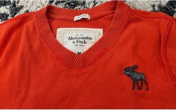 Abercrombie Maglioni & Felpe: Abercrombie & Fitch : lot 2 pulls M/L – Usato da Lutry venduto da kylab7 2