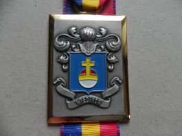 Medaille Auszeichnung Wiedikon Zürich ZH Wappen Jahr 1981