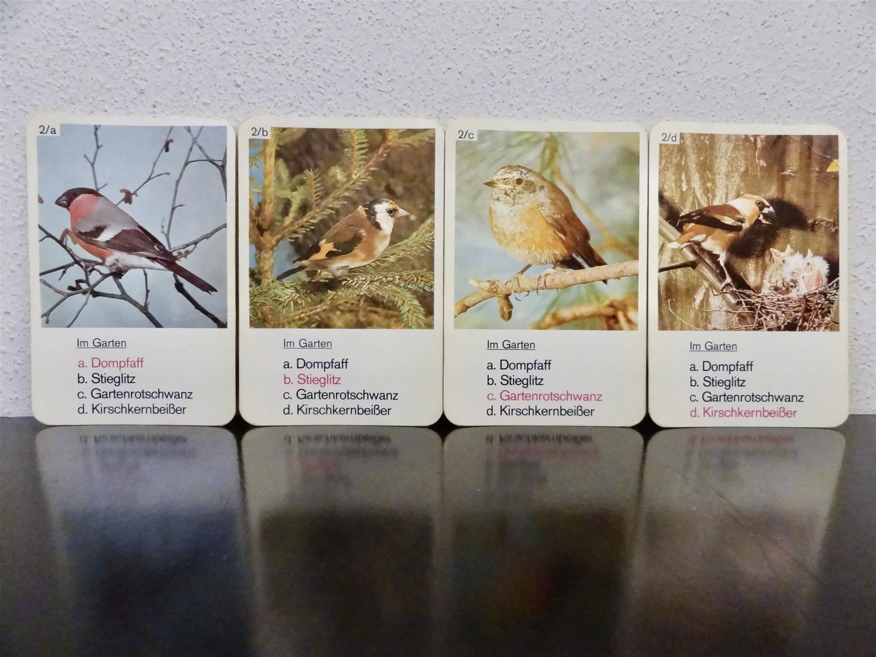 Spiele: altes Quartett TIER-QUARTETT VÖGEL – Gebraucht aus Kerzers von wisaundso 4